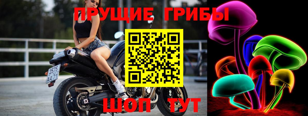 Галлюциногенные грибы Psilocybe Артёмовский